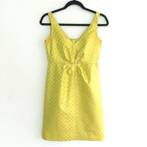 J. Crew Collection Circle Dress